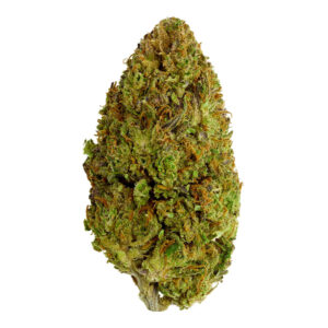 Amnesia Haze Pro - Interior -